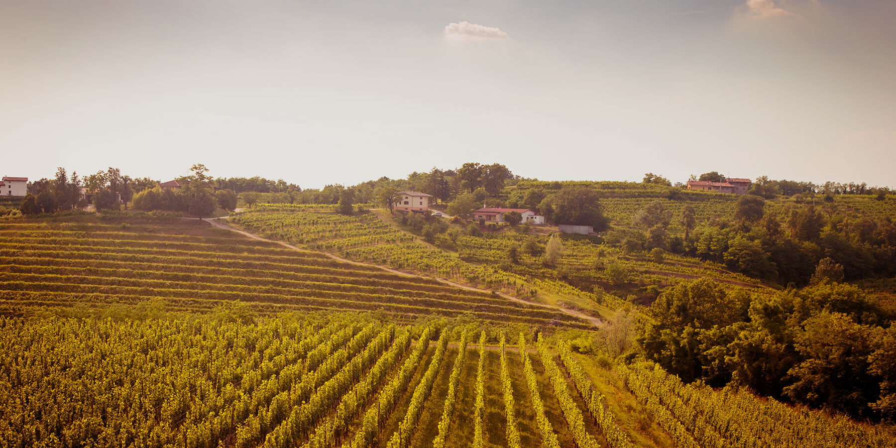 Paesaggio Collio